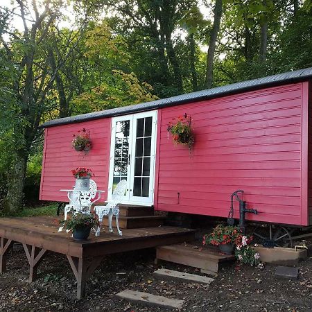 Borthwickbrae Shepherd'S Hut Hawick Esterno foto